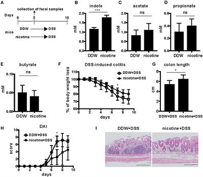 Nicotine Oral Administration Attenuates DSS-Induced Colitis Through Upregulation of Indole in the Distal Colon and Rectum in Mice